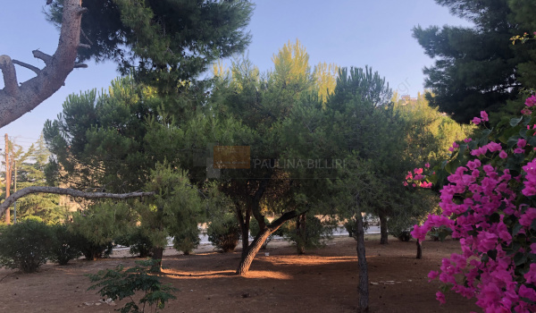 Εξωτερικός χώρος - Outdoor space